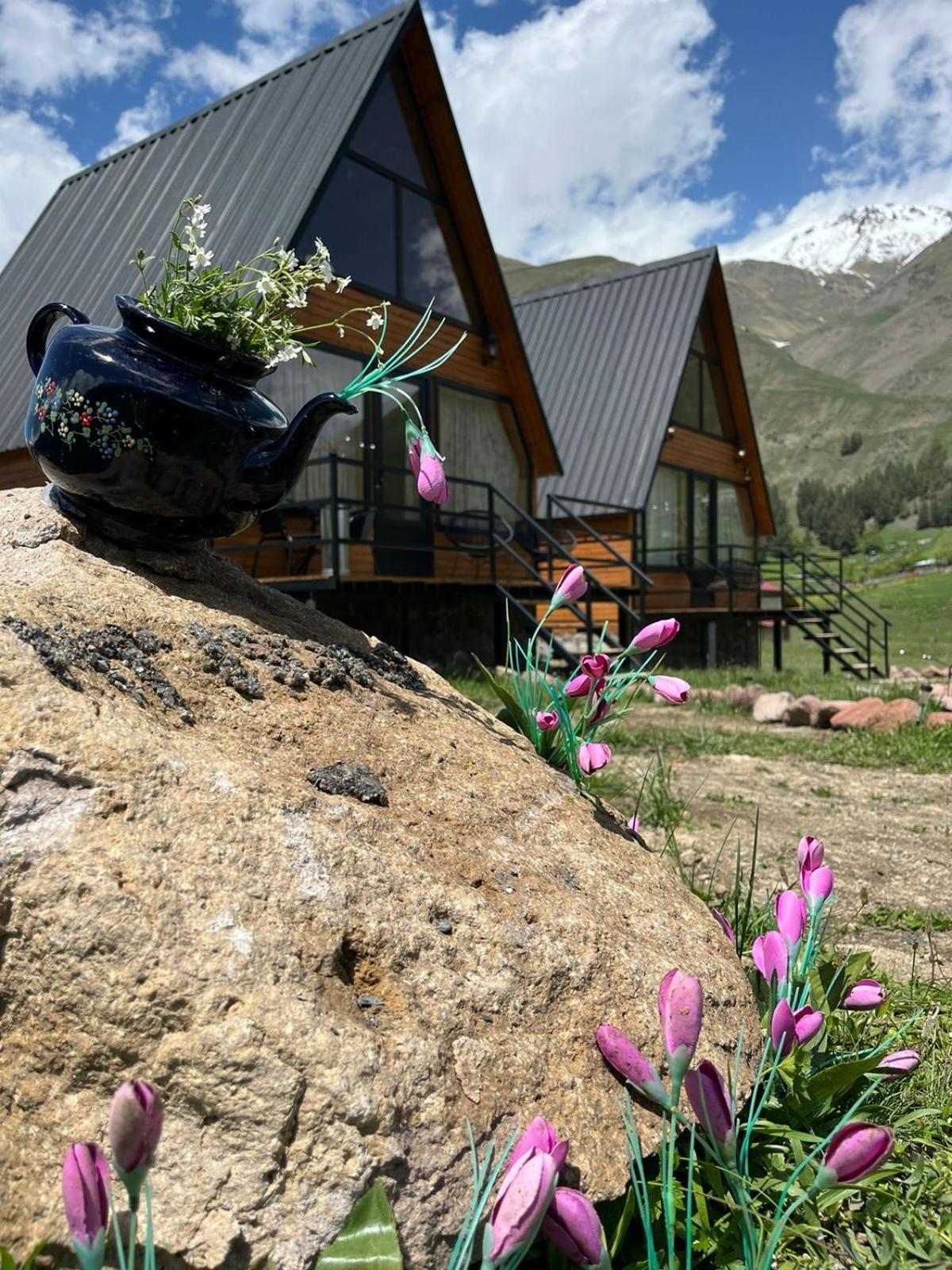 Mtisguli Cottages Kazbegi Eksteriør bilde