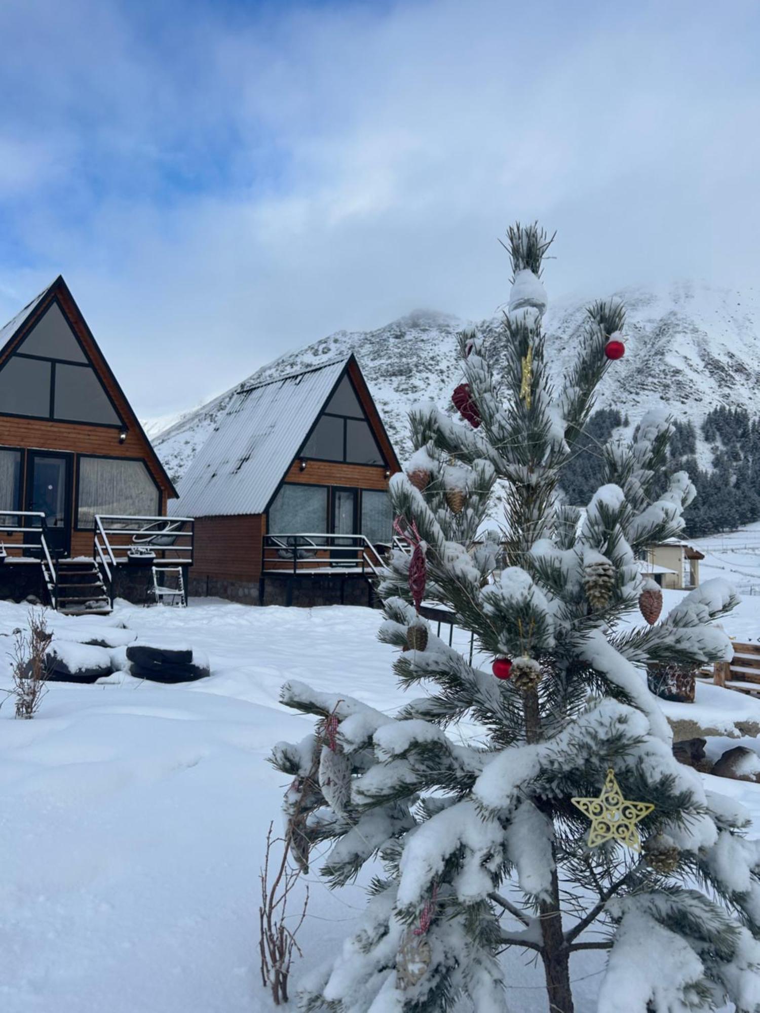 Mtisguli Cottages Kazbegi Eksteriør bilde